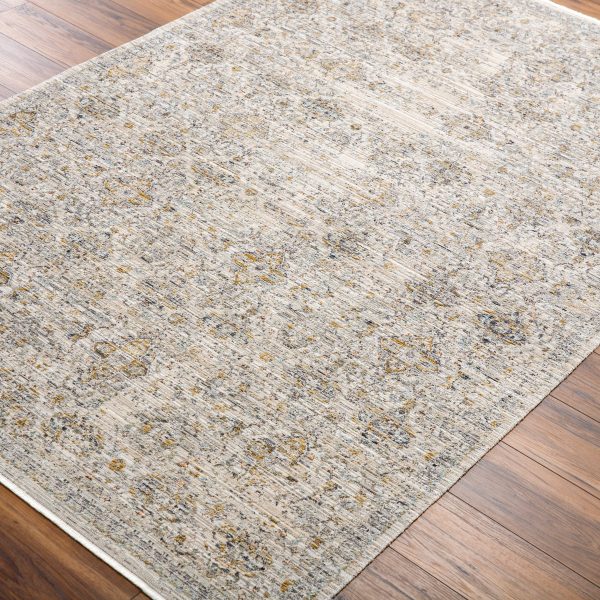 Becki Owens Margaret Rug - BOMG2306 - Taupe Charcoal Hot on Sale - Image 5