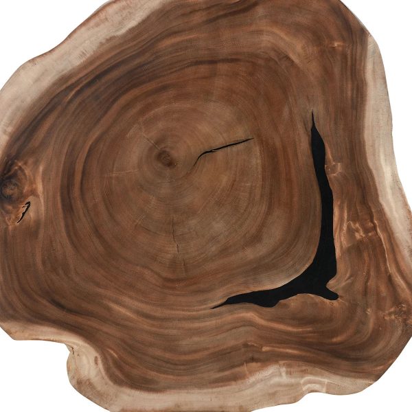 Celine Live Edge Coffee Table For Cheap - Image 2
